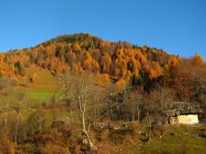 Odpri povezavo